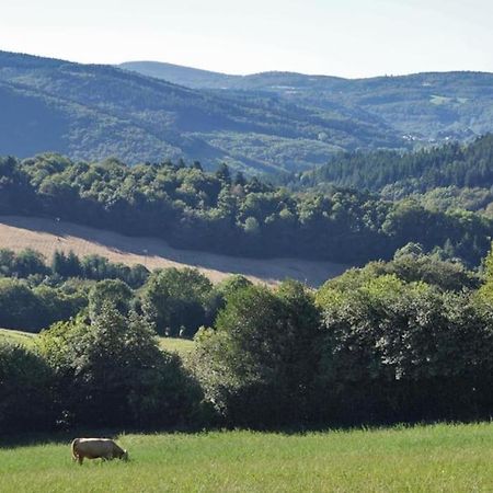 Ahoma, Sejour Bien-Etre, Calme Et Serenite. Labruguiere ภายนอก รูปภาพ
