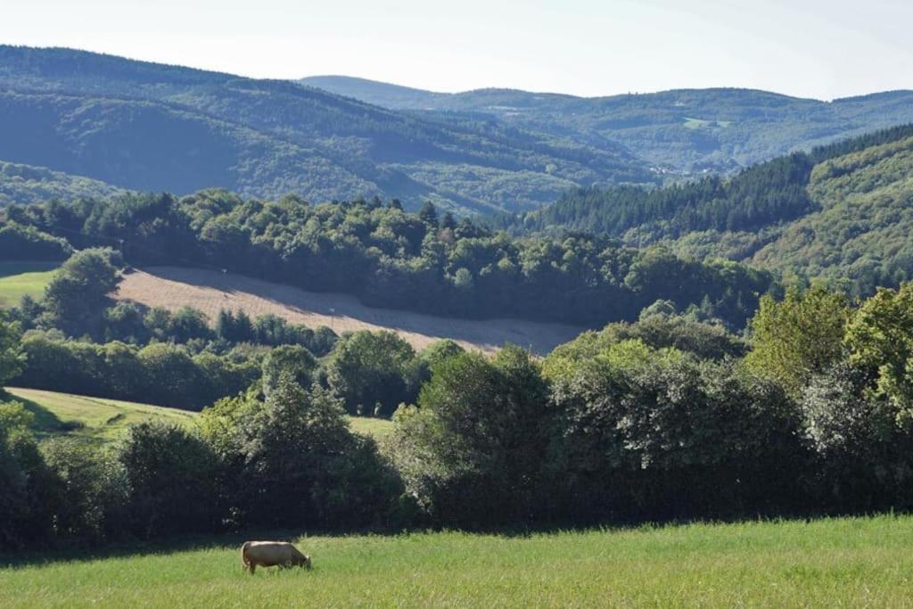 Ahoma, Sejour Bien-Etre, Calme Et Serenite. Labruguiere ภายนอก รูปภาพ
